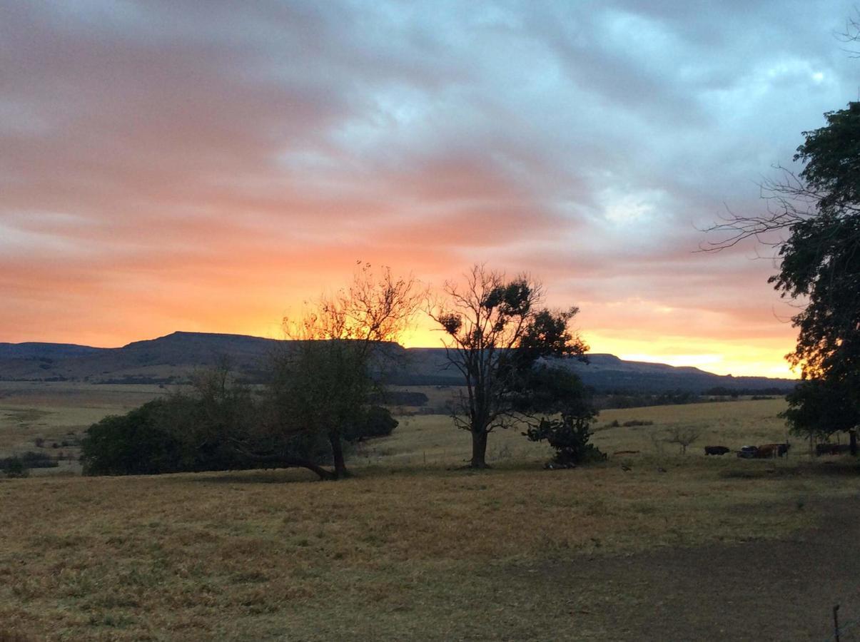 Petra'S Country Guesthouse Vryheid Esterno foto