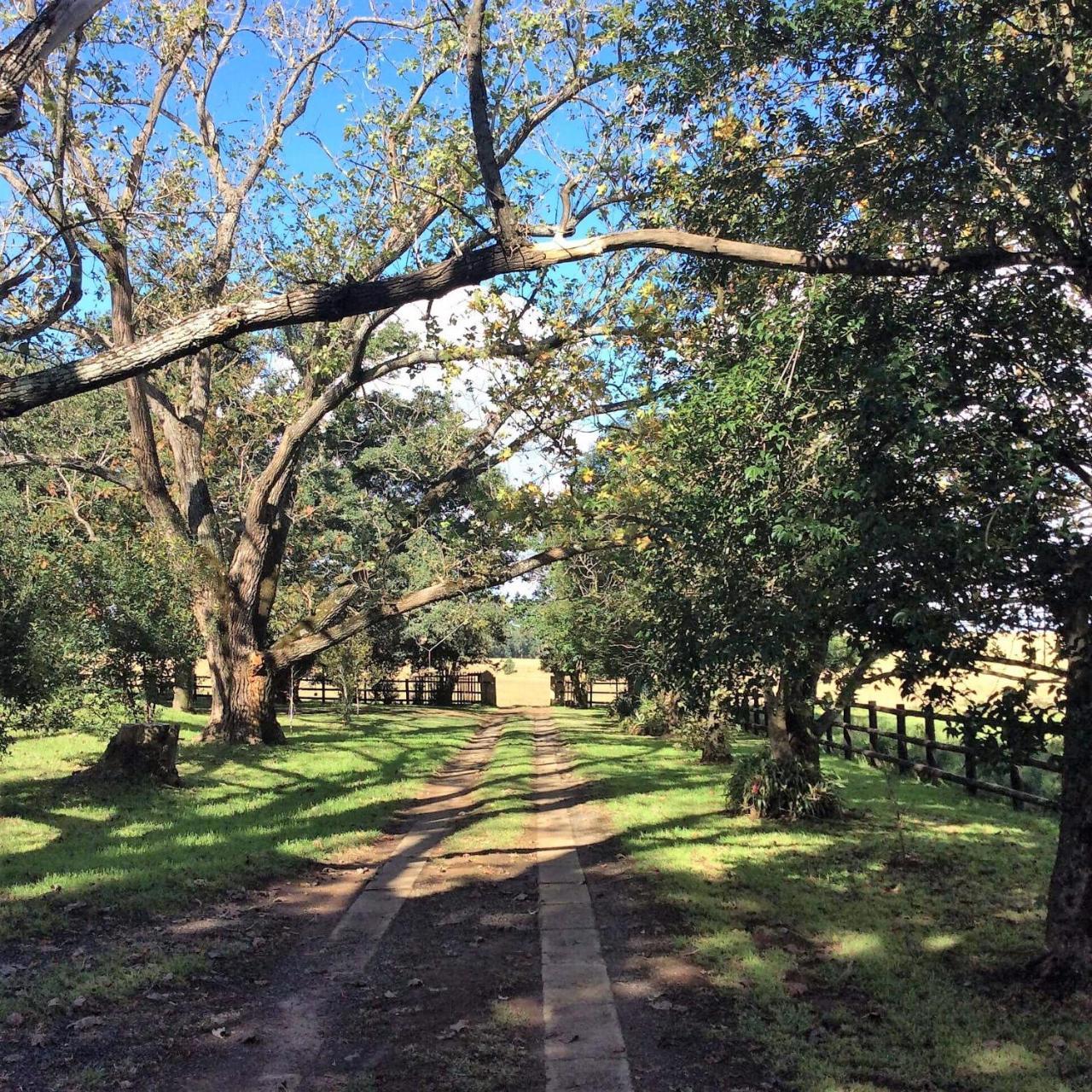 Petra'S Country Guesthouse Vryheid Esterno foto